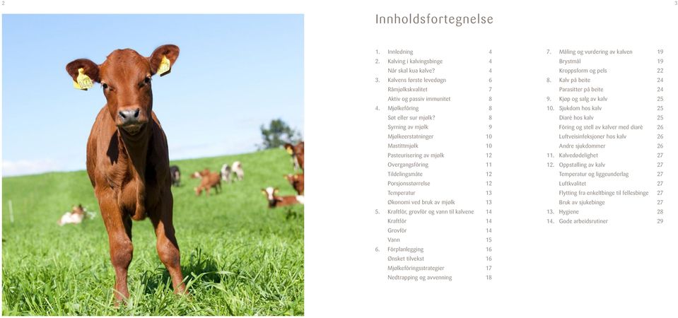 8 Syrning av mjølk 9 Mjølkeerstatninger 10 Mastittmjølk 10 Pasteurisering av mjølk 12 Overgangsfôring 11 Tildelingsmåte 12 Porsjonsstørrelse 12 Temperatur 13 Økonomi ved bruk av mjølk 13 5.