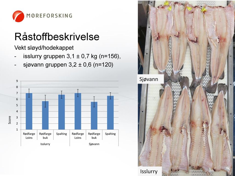 (n=120) 9 Sjøvann 8 7 6 5 4 3 2 1 Rødfarge Loins Rødfarge buk