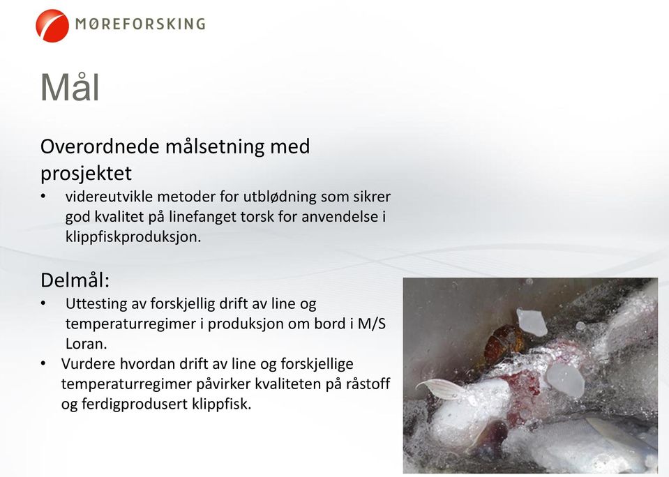 Delmål: Uttesting av forskjellig drift av line og temperaturregimer i produksjon om bord i M/S