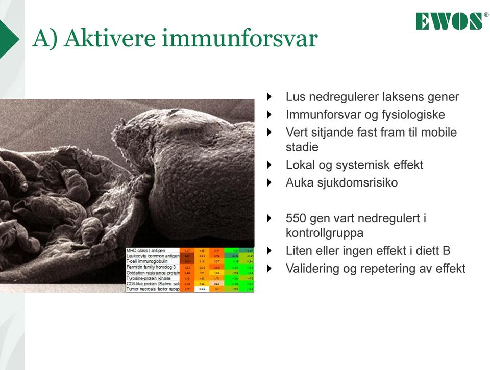 systemisk effekt Auka sjukdomsrisiko 550 gen vart nedregulert i