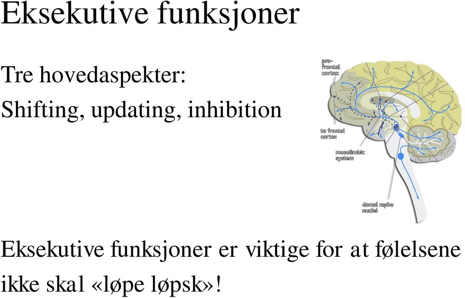 inhibition Eksekutive funksjoner er