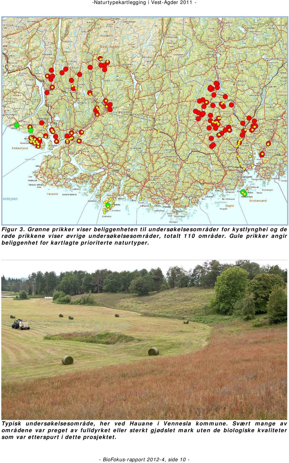 undersøkelsesområder, totalt 110 områder. Gule prikker angir beliggenhet for kartlagte prioriterte naturtyper.