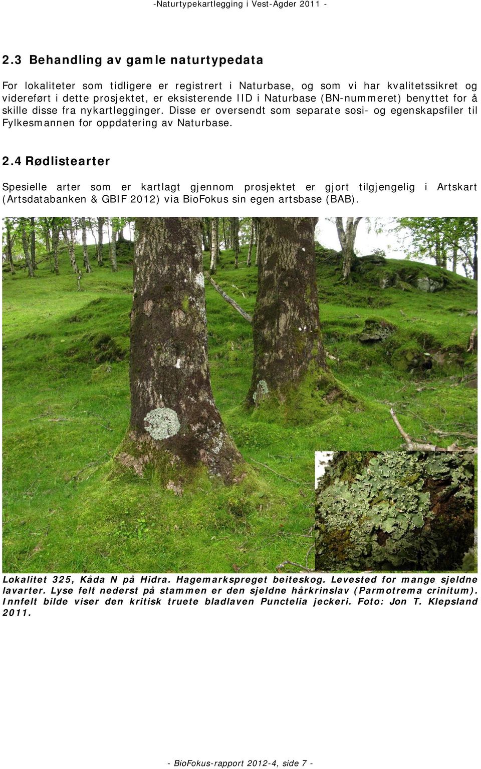 4 Rødlistearter Spesielle arter som er kartlagt gjennom prosjektet er gjort tilgjengelig i Artskart (Artsdatabanken & GBIF 2012) via BioFokus sin egen artsbase (BAB). Lokalitet 325, Kåda N på Hidra.