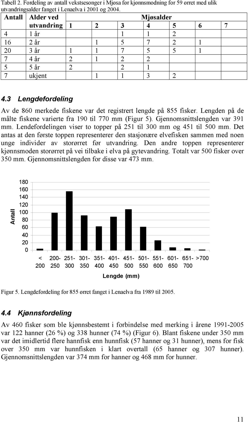 3 Lengdefordeling Av de 86 merkede fiskene var det registrert lengde på 855 fisker. Lengden på de målte fiskene varierte fra 19 til 77 mm (Figur 5). Gjennomsnittslengden var 391 mm.