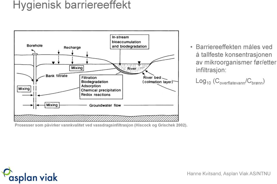 infiltrasjon: Log 10 (C overflatevann /C brønn ) Prosesser