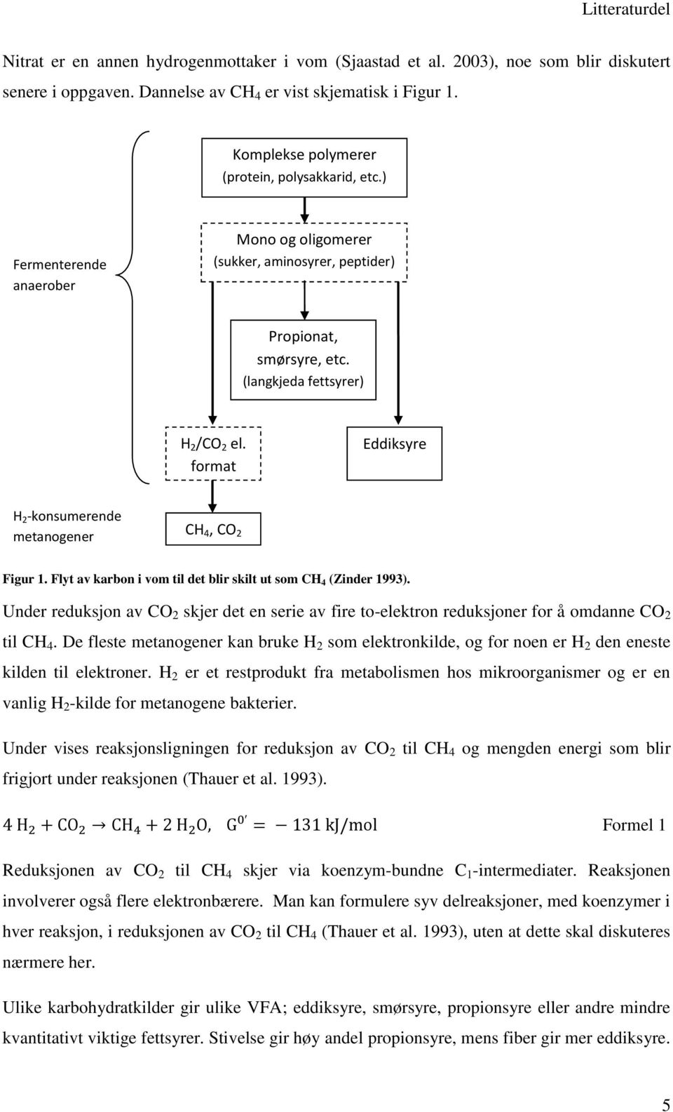 format Eddiksyre H 2 -konsumerende metanogener CH 4, CO 2 Figur 1. Flyt av karbon i vom til det blir skilt ut som CH 4 (Zinder 1993).