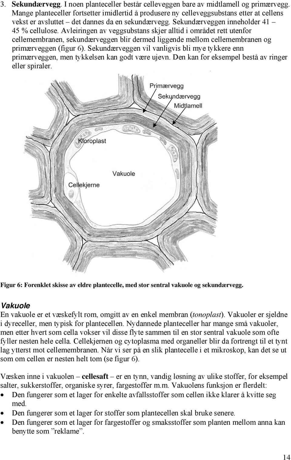 Avleiringen av veggsubstans skjer alltid i området rett utenfor cellemembranen, sekundærveggen blir dermed liggende mellom cellemembranen og primærveggen (figur 6).