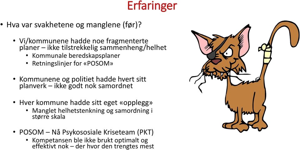 beredskapsplaner Retningslinjer for «POSOM» Kommunene og politiet hadde hvert sitt planverk ikke godt nok samordnet