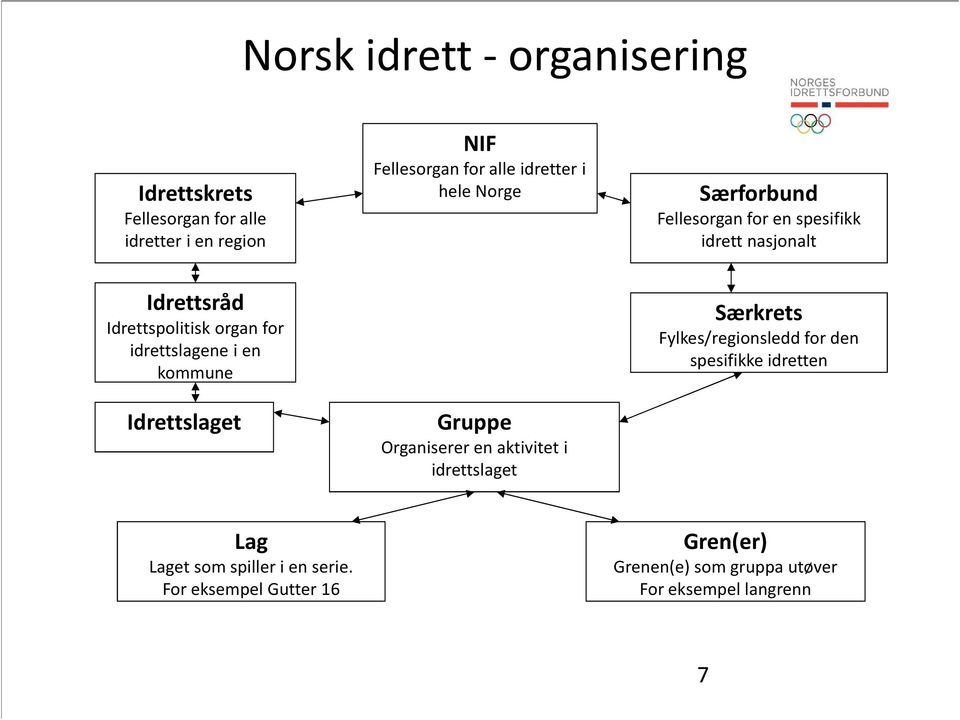 en kommune Idrettslaget Gruppe Organiserer en aktivitet i idrettslaget Særkrets Fylkes/regionsledd for den spesifikke