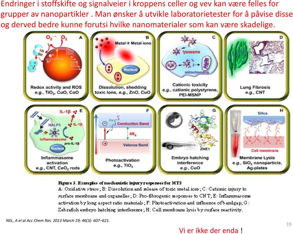 Man ønsker å utvikle laboratorietester for å påvise disse og derved bedre kunne