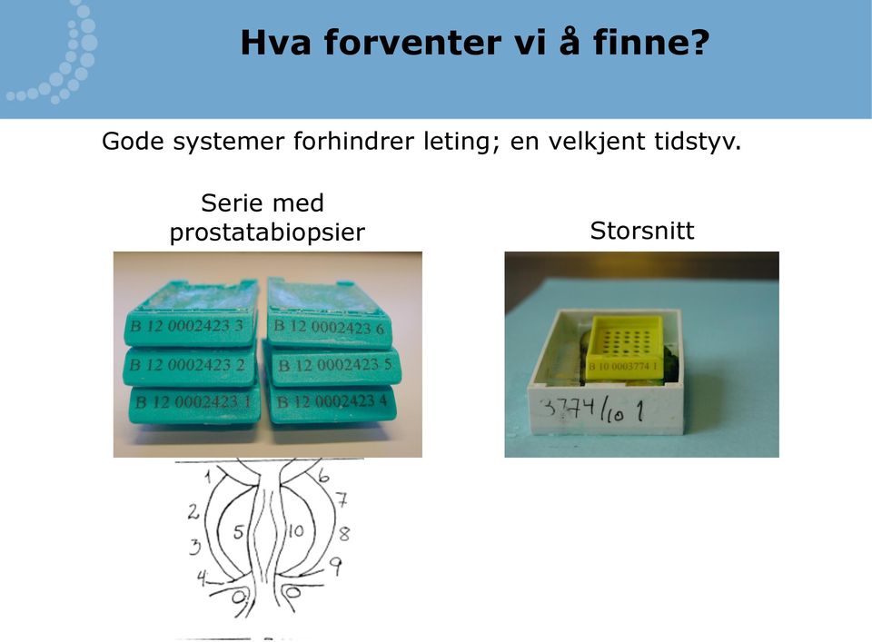 leting; en velkjent tidstyv.