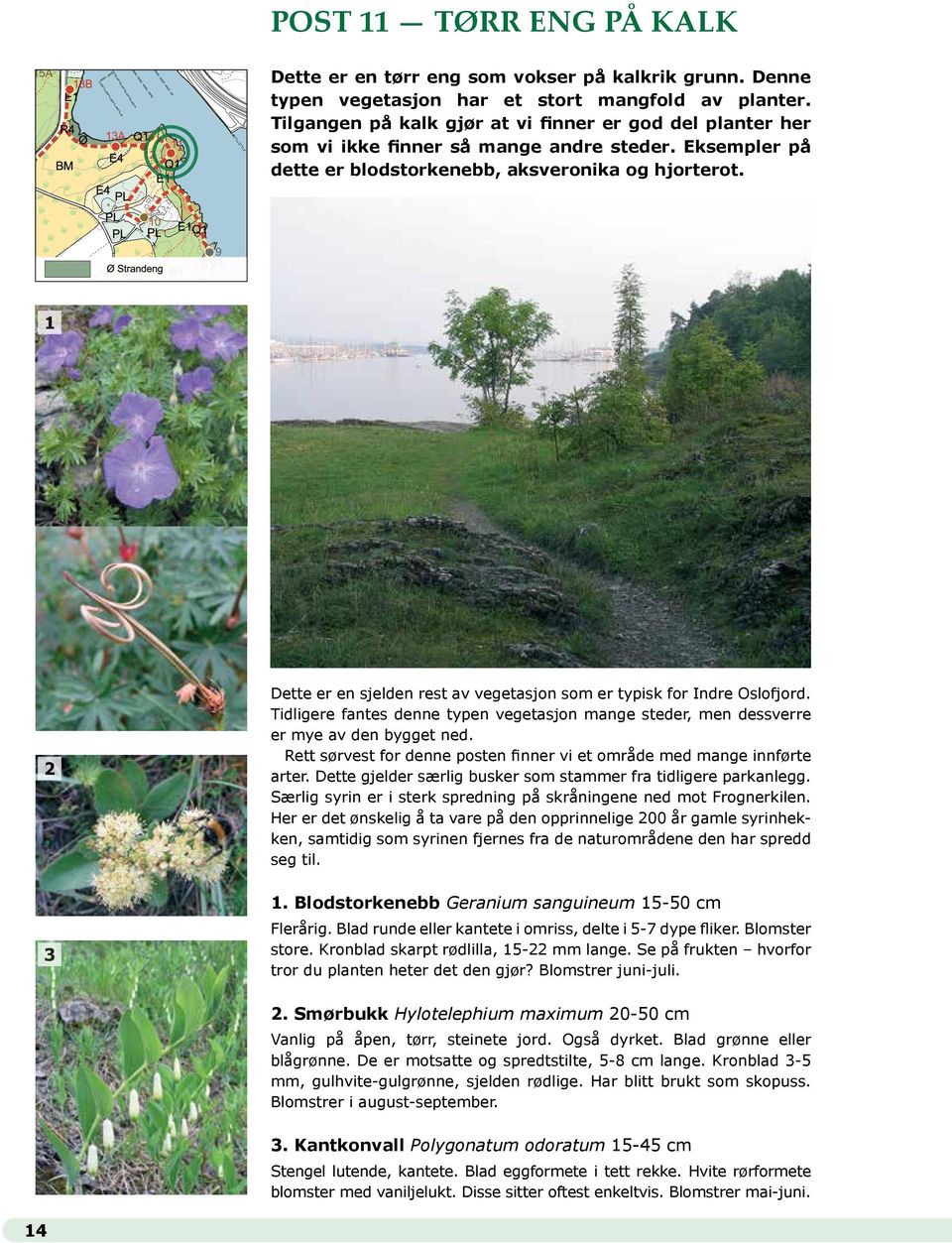 1 2 Dette er en sjelden rest av vegetasjon som er typisk for Indre Oslofjord. Tidligere fantes denne typen vegetasjon mange steder, men dessverre er mye av den bygget ned.