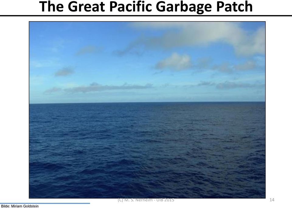 Garbage Patch