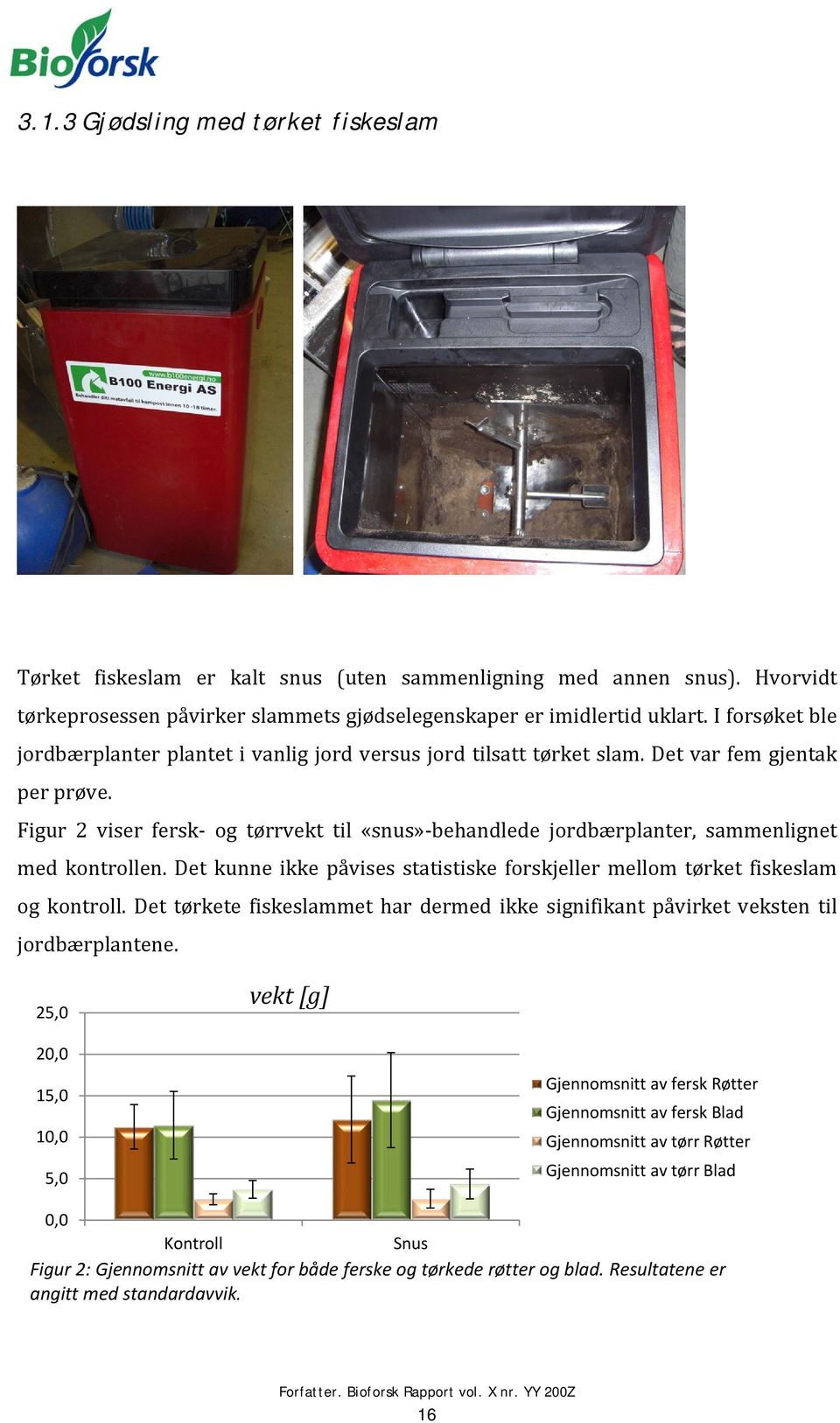 Figur 2 viser fersk- og tørrvekt til «snus»-behandlede jordbærplanter, sammenlignet med kontrollen. Det kunne ikke påvises statistiske forskjeller mellom tørket fiskeslam og kontroll.