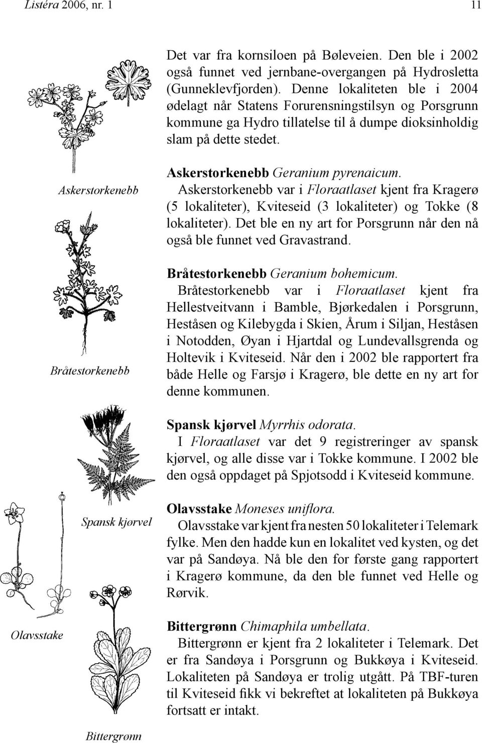 Askerstorkenebb Bråtestorkenebb Askerstorkenebb Geranium pyrenaicum. Askerstorkenebb var i Floraatlaset kjent fra Kragerø (5 lokaliteter), Kviteseid (3 lokaliteter) og Tokke (8 lokaliteter).