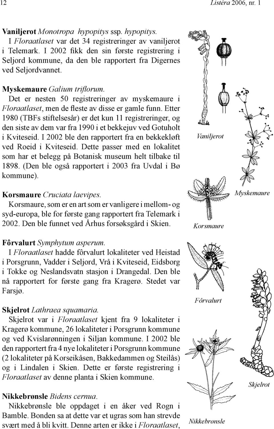 Det er nesten 50 registreringer av myskemaure i Floraatlaset, men de fleste av disse er gamle funn.
