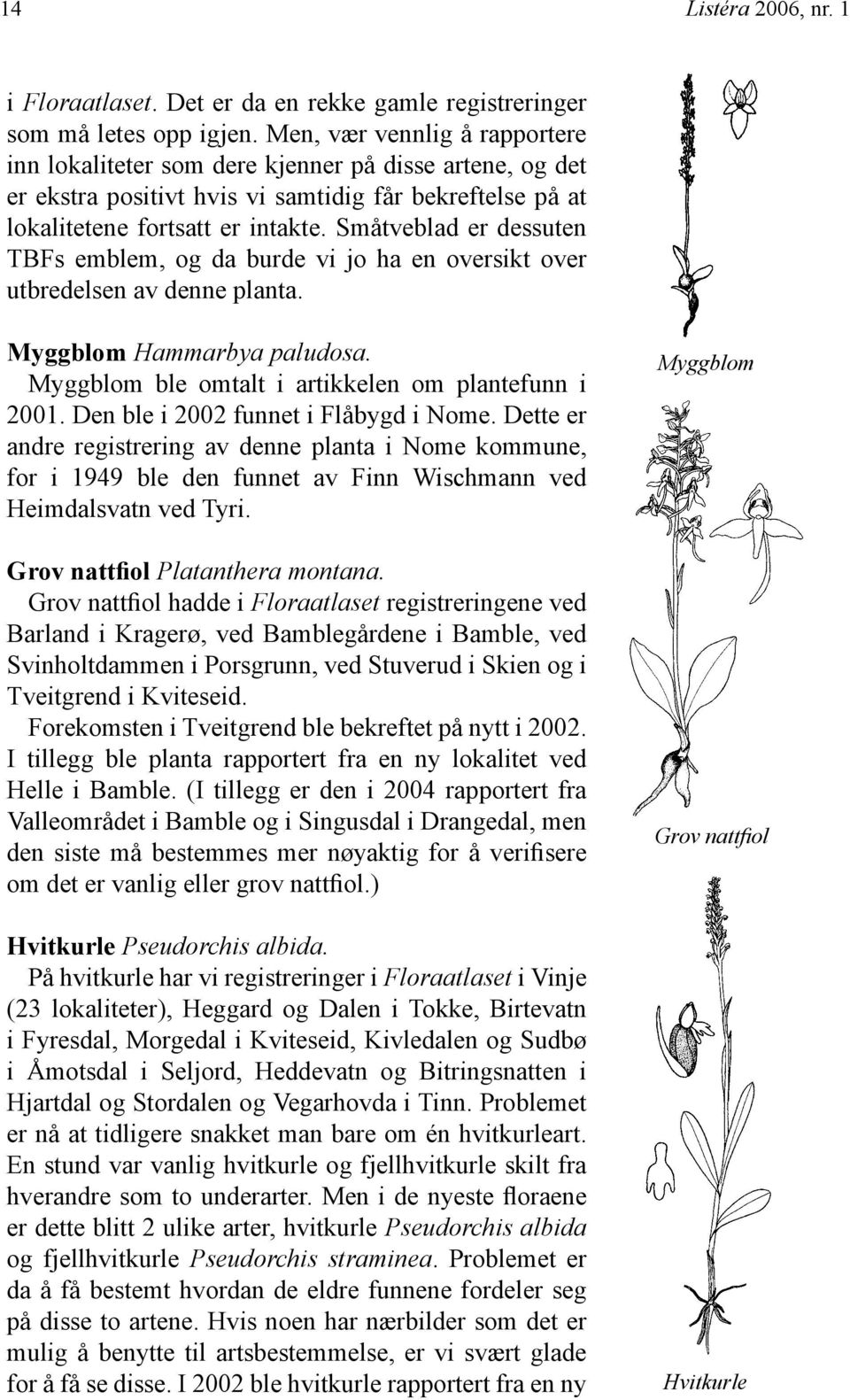 Småtveblad er dessuten TBFs emblem, og da burde vi jo ha en oversikt over utbredelsen av denne planta. Myggblom Hammarbya paludosa. Myggblom ble omtalt i artikkelen om plantefunn i 2001.