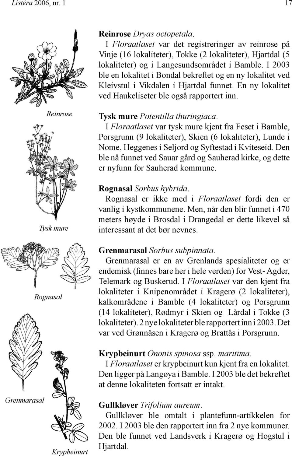 I 2003 ble en lokalitet i Bondal bekreftet og en ny lokalitet ved Kleivstul i Vikdalen i Hjartdal funnet. En ny lokalitet ved Haukeliseter ble også rapportert inn.