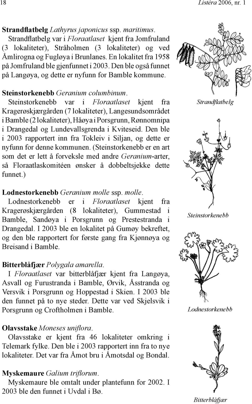 Den ble også funnet på Langøya, og dette er nyfunn for Bamble kommune. Steinstorkenebb Geranium columbinum.