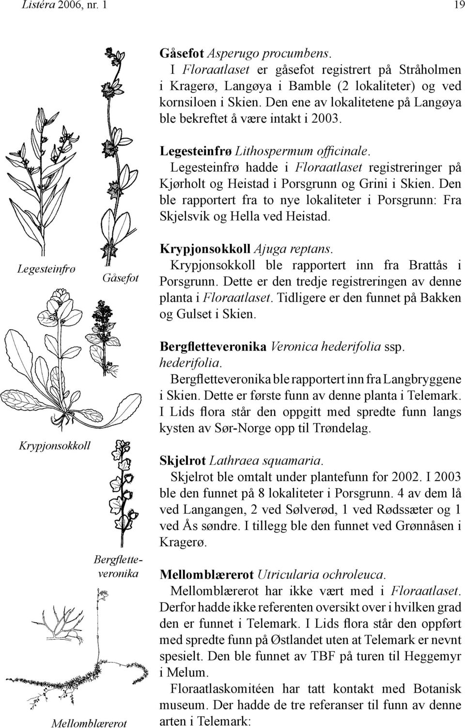 Legesteinfrø hadde i Floraatlaset registreringer på Kjørholt og Heistad i Porsgrunn og Grini i Skien. Den ble rapportert fra to nye lokaliteter i Porsgrunn: Fra Skjelsvik og Hella ved Heistad.