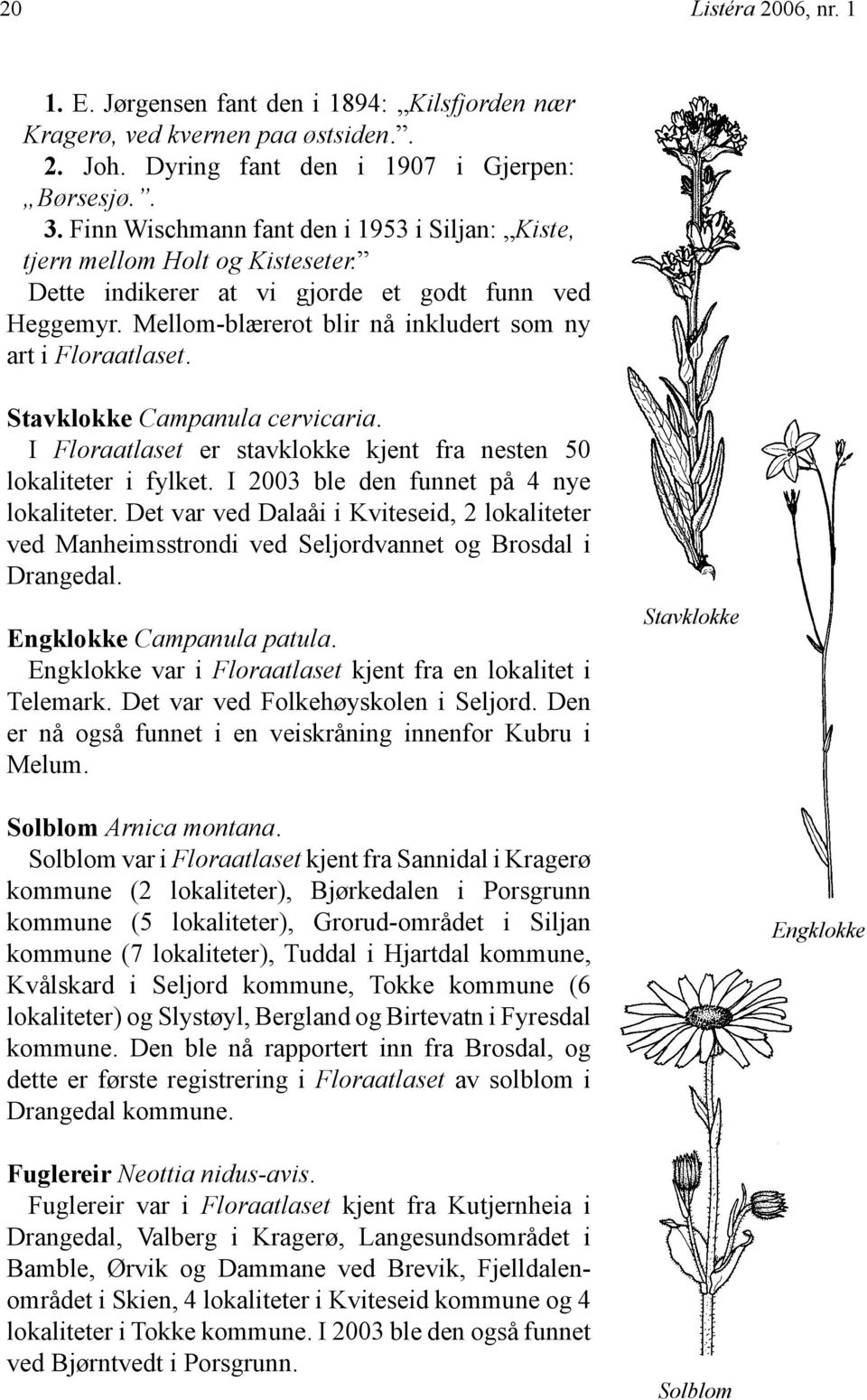 Stavklokke Campanula cervicaria. I Floraatlaset er stavklokke kjent fra nesten 50 lokaliteter i fylket. I 2003 ble den funnet på 4 nye lokaliteter.