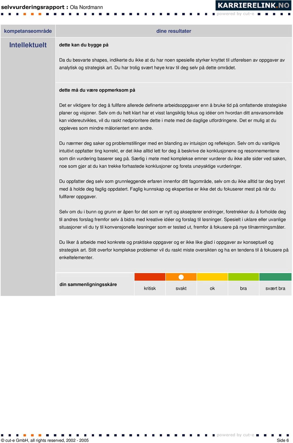 dette må du være oppmerksom på Det er viktigere for deg å fullføre allerede definerte arbeidsoppgaver enn å bruke tid på omfattende strategiske planer og visjoner.