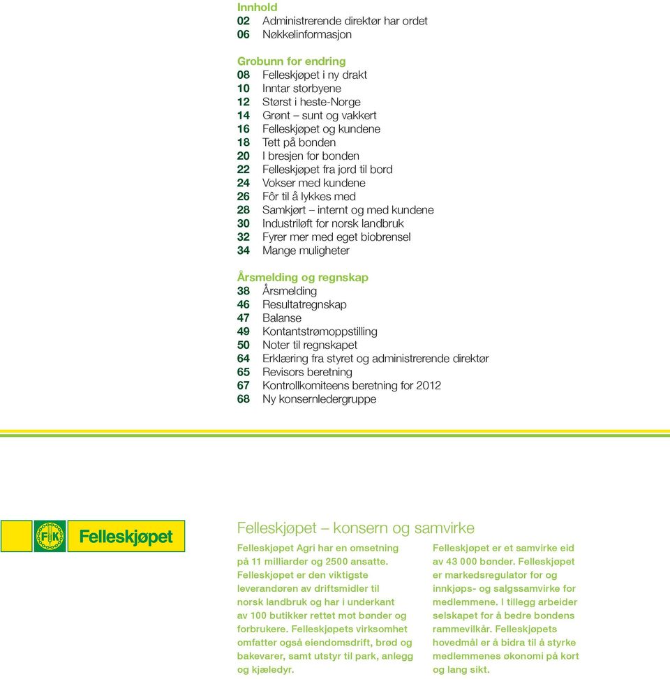 landbruk 32 Fyrer mer med eget biobrensel 34 Mange muligheter Årsmelding og regnskap 38 Årsmelding 46 Resultatregnskap 47 Balanse 49 Kontantstrømoppstilling 50 Noter til regnskapet 64 Erklæring fra