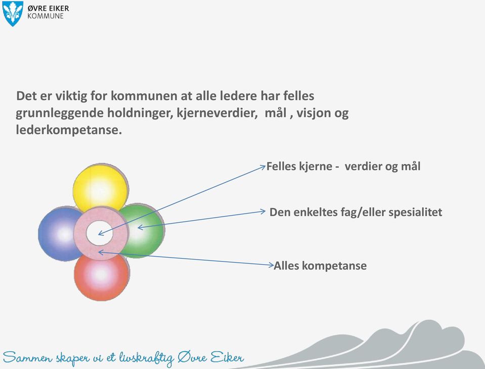 mål, visjon og lederkompetanse.