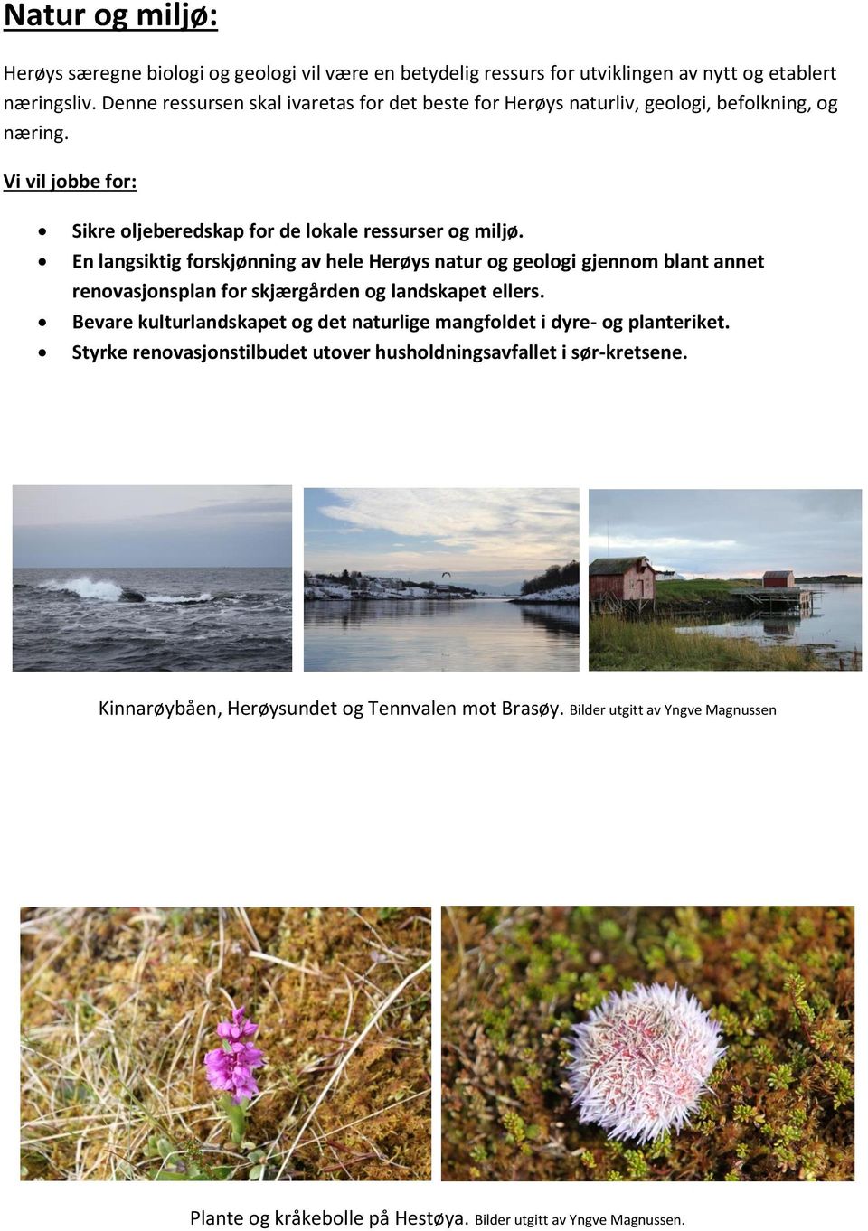 En langsiktig forskjønning av hele Herøys natur og geologi gjennom blant annet renovasjonsplan for skjærgården og landskapet ellers.