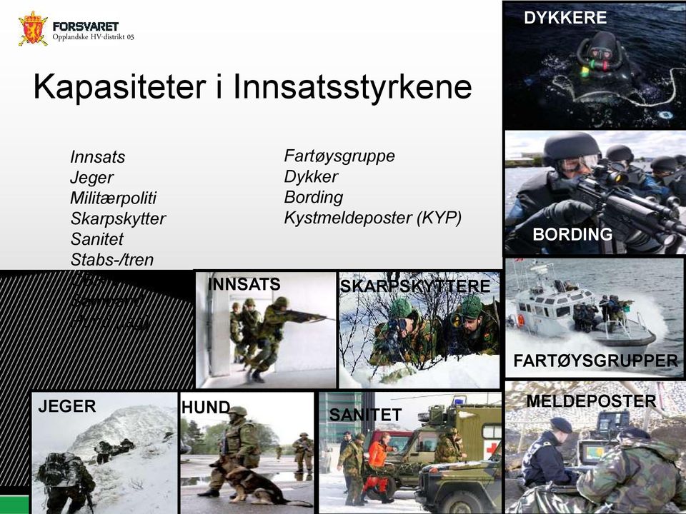 Hund (lag) INNSATS Fartøysgruppe Dykker Bording