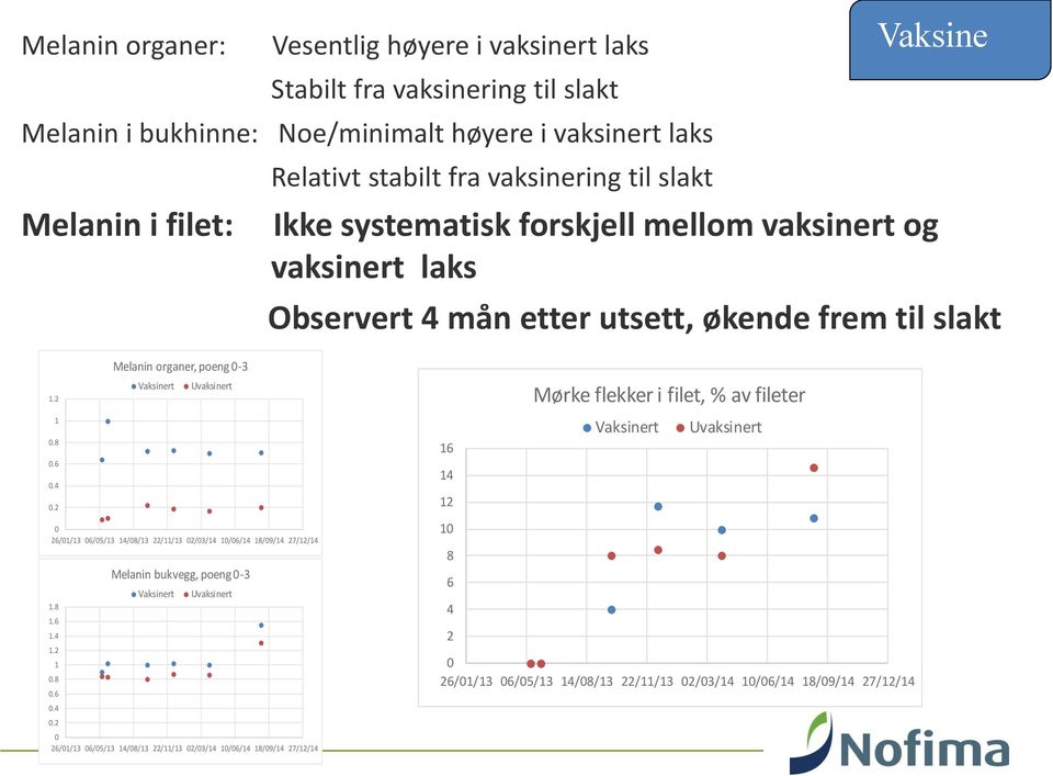 8 Melanin i filet: Ikke systematisk forskjell mellom vaksinert og.6.4 vaksinert laks.2 Observert 4 mån etter utsett, økende frem til slakt Melanin organer, poeng -3 Vaksinert Uvaksinert 1.2 1.8.6.4.2 26/1/13 6/5/13 14/8/13 22/11/13 2/3/14 1/6/14 18/9/14 27/12/14 Melanin bukvegg, poeng -3 Vaksinert Uvaksinert 1.