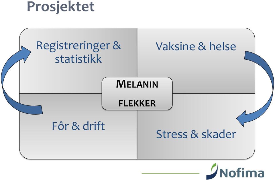 213 Prosjektet Registreringer & statistikk