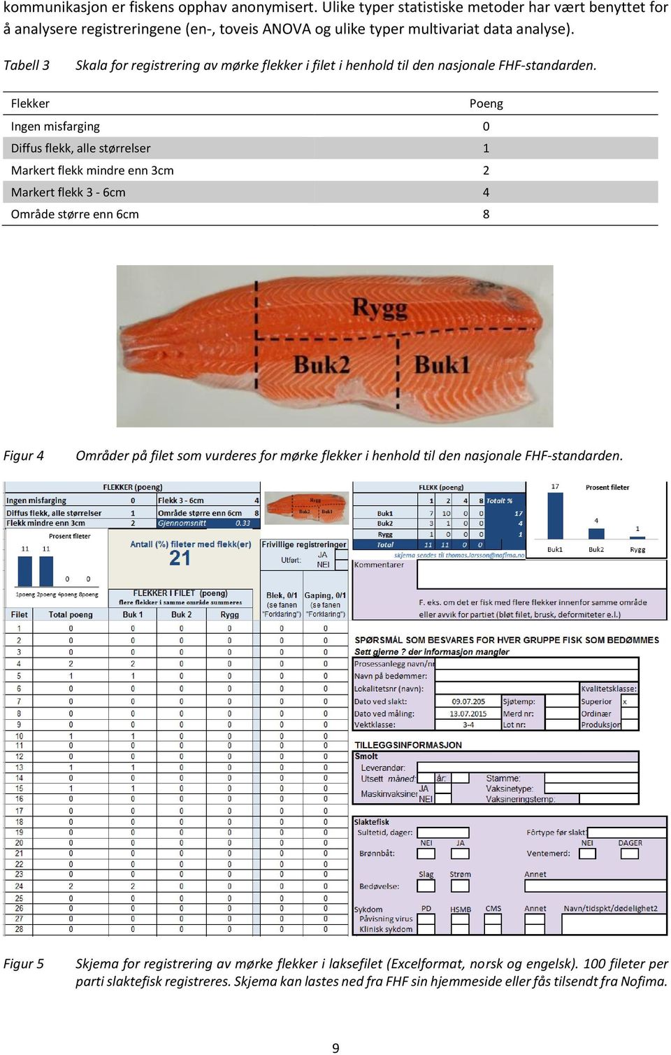 Flekker Poeng Ingen misfarging 0 Diffus flekk, alle størrelser 1 Markert flekk mindre enn 3cm 2 Markert flekk 3-6cm 4 Område større enn 6cm 8 Figur 4 Områder på filet som vurderes for