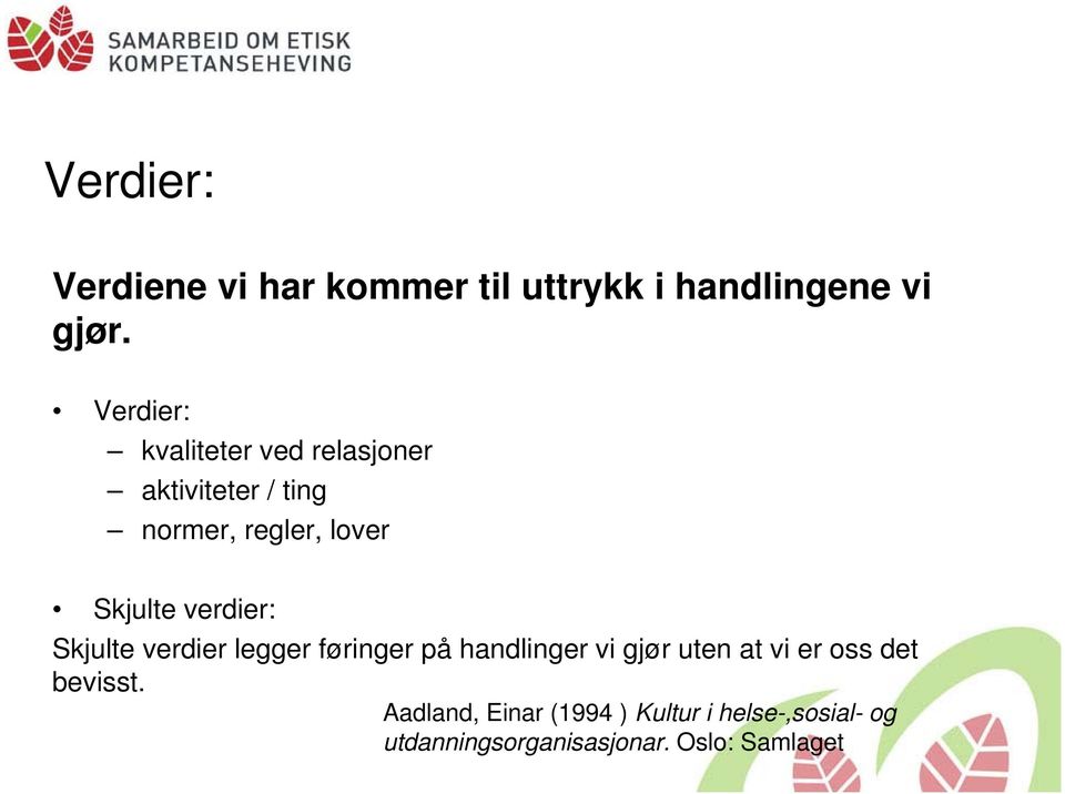 verdier: Skjulte verdier legger føringer på handlinger vi gjør uten at vi er oss