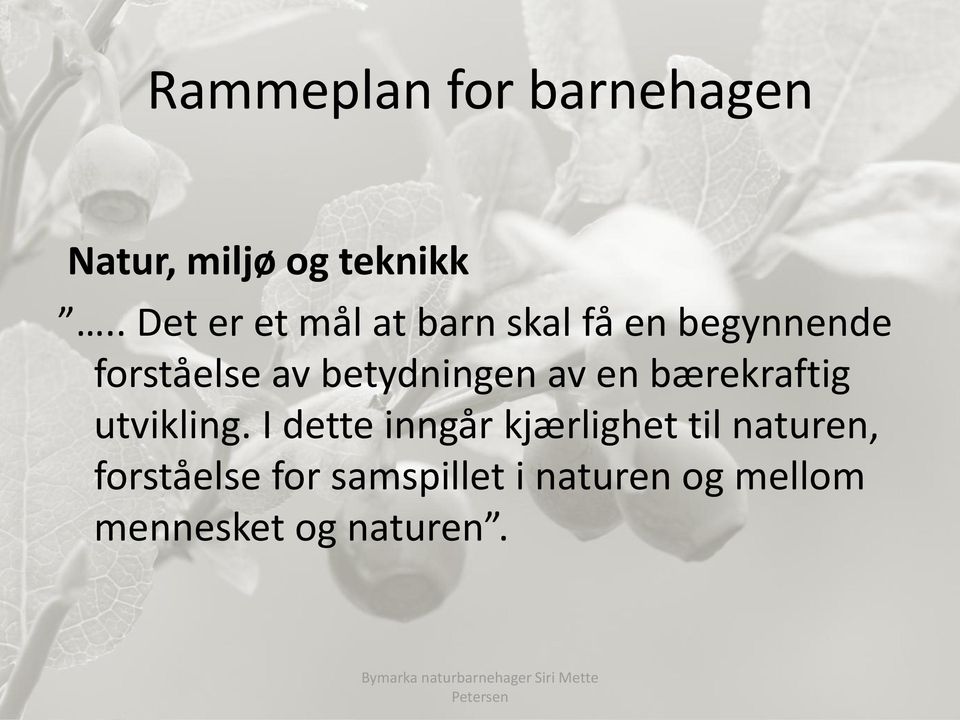 betydningen av en bærekraftig utvikling.