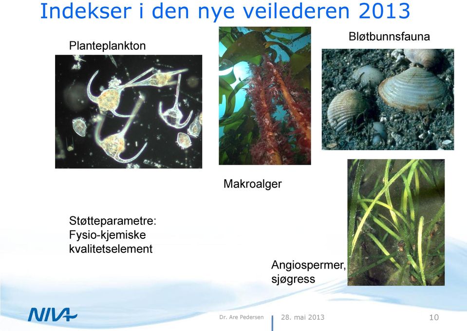 Støtteparametre: Fysio-kjemiske