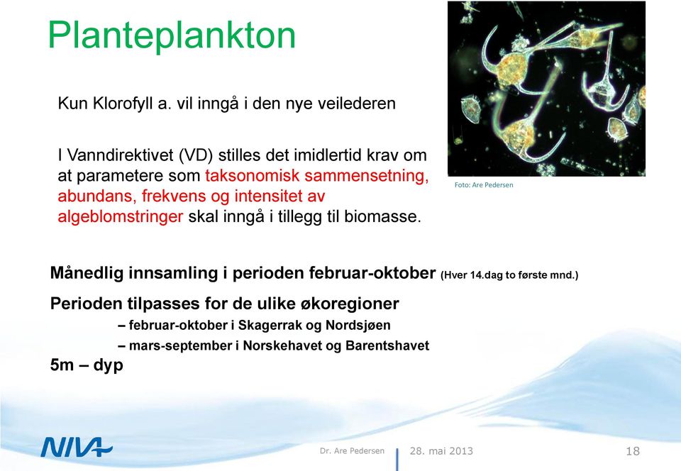 sammensetning, abundans, frekvens og intensitet av algeblomstringer skal inngå i tillegg til biomasse.