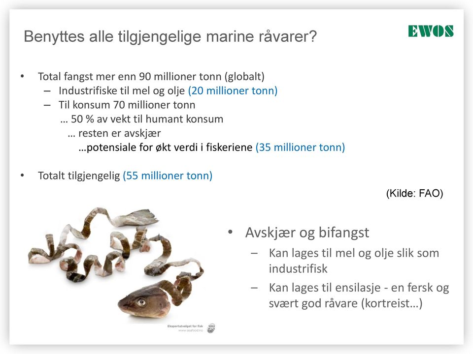 millioner tonn 50 % av vekt til humant konsum resten er avskjær potensiale for økt verdi i fiskeriene (35 millioner