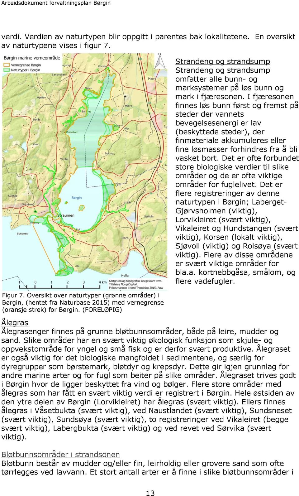 (FORELØPIG) Strandeng og strandsump Strandeng og strandsump omfatter alle bunn- og marksystemer på løs bunn og mark i fjæresonen.