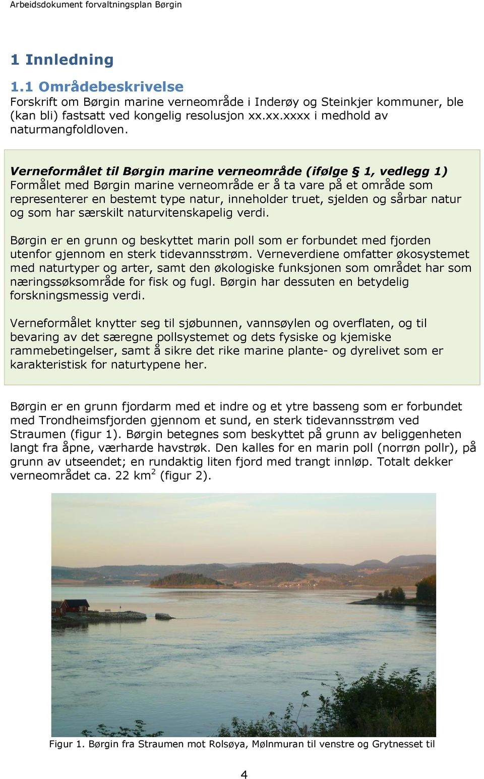 og sårbar natur og som har særskilt naturvitenskapelig verdi. Børgin er en grunn og beskyttet marin poll som er forbundet med fjorden utenfor gjennom en sterk tidevannsstrøm.