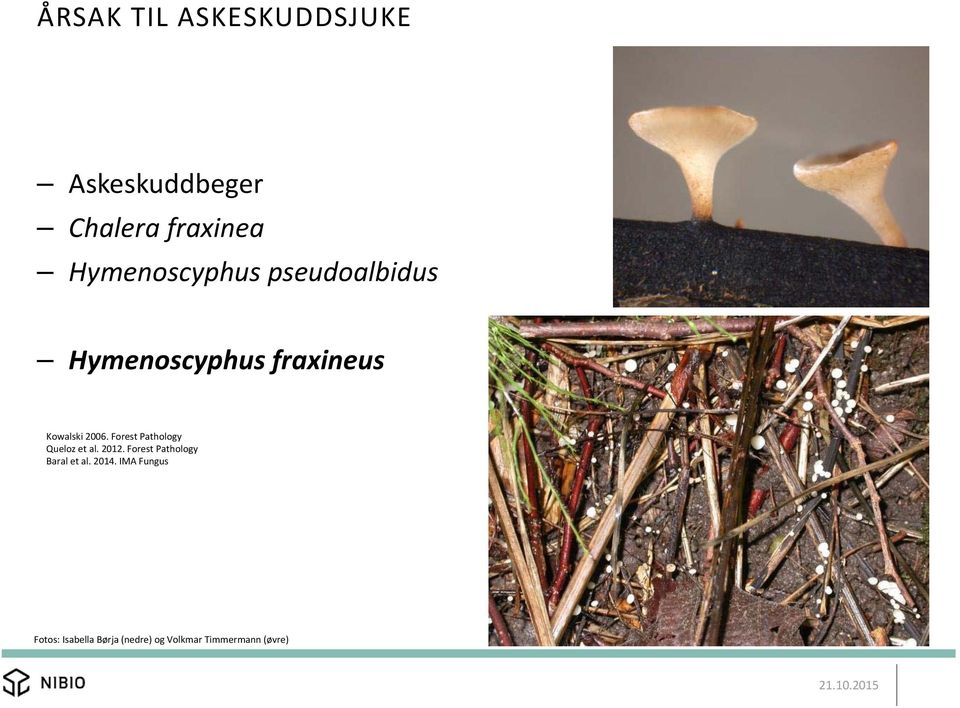 Forest Pathology Queloz et al. 2012. Forest Pathology Baral et al.