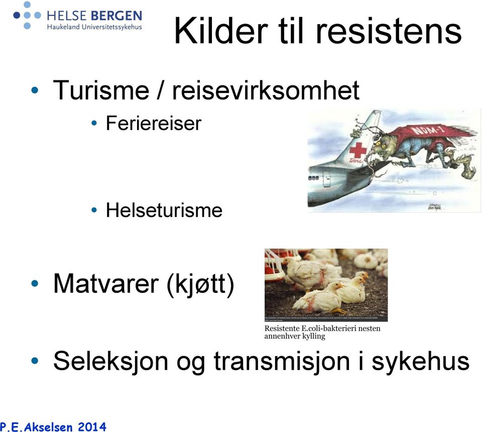 Helseturisme Matvarer (kjøtt)