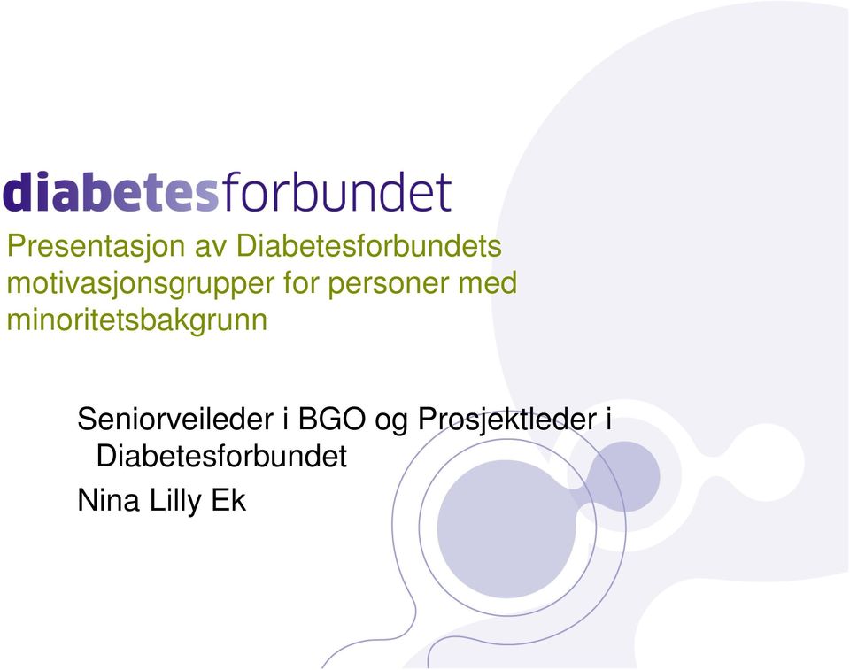 minoritetsbakgrunn Seniorveileder i BGO