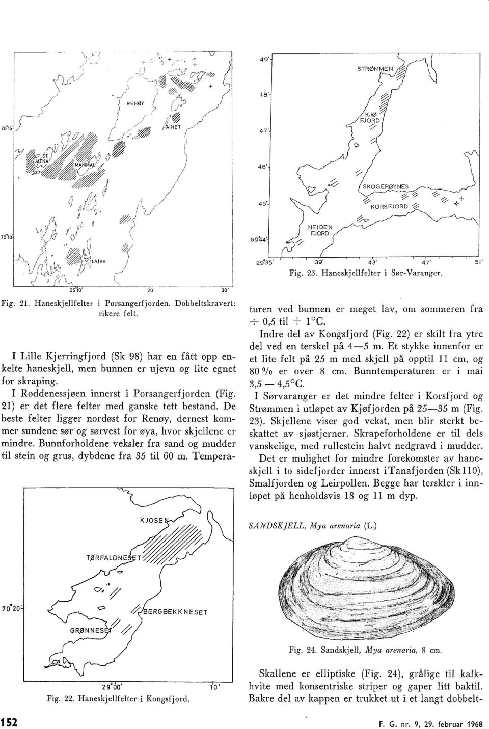 1) er det fere feter med ganske tett bestand. De beste feter igger nordøst for Renøy, dernest kommer sundene sør og sørvest for øya, hvor skjeene er mindre.