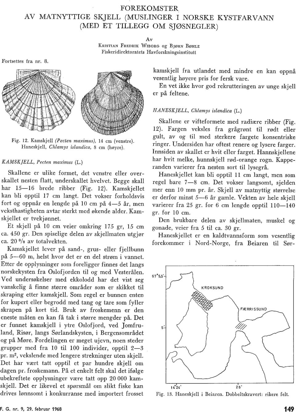 En vet ikke hvor god rekrutteringen av unge skje er på fetene. HANESK]ELL, Chamys isandica (L.) Fig. 1. Kamskje {Pecten maximus}, 1 cm (venstre). Haneskje, Chamys isandica, 8 cm (høyre).