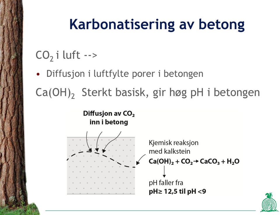 porer i betongen Ca(OH) 2