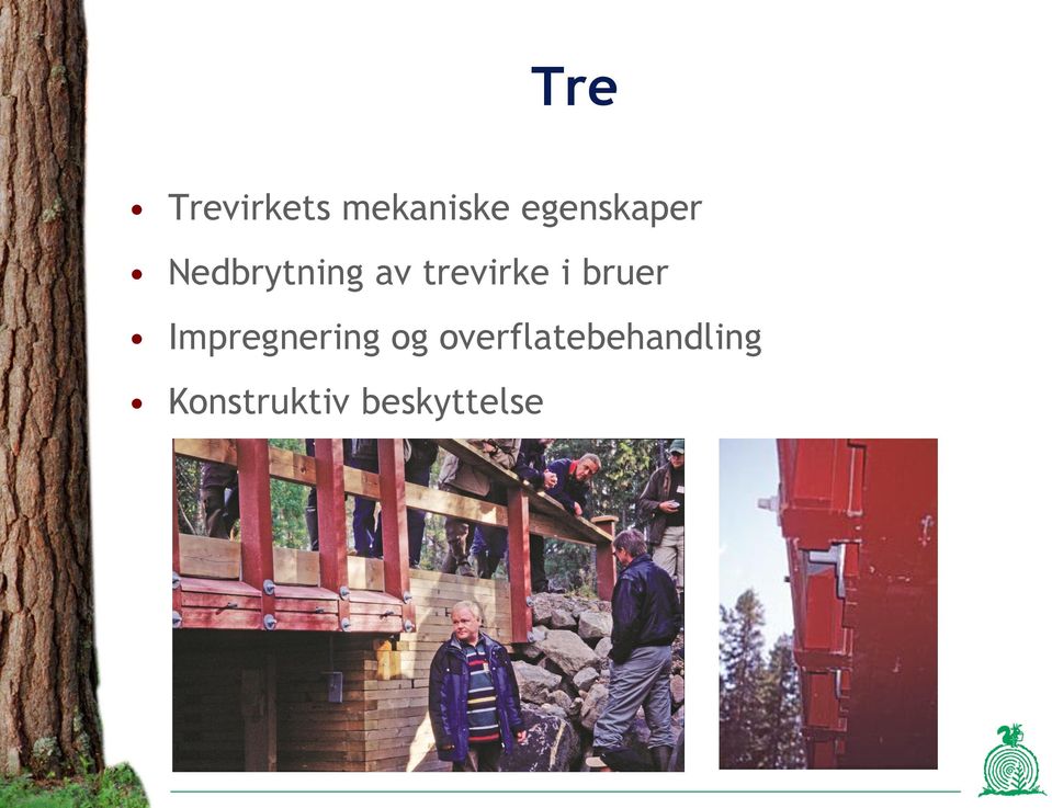 trevirke i bruer Impregnering