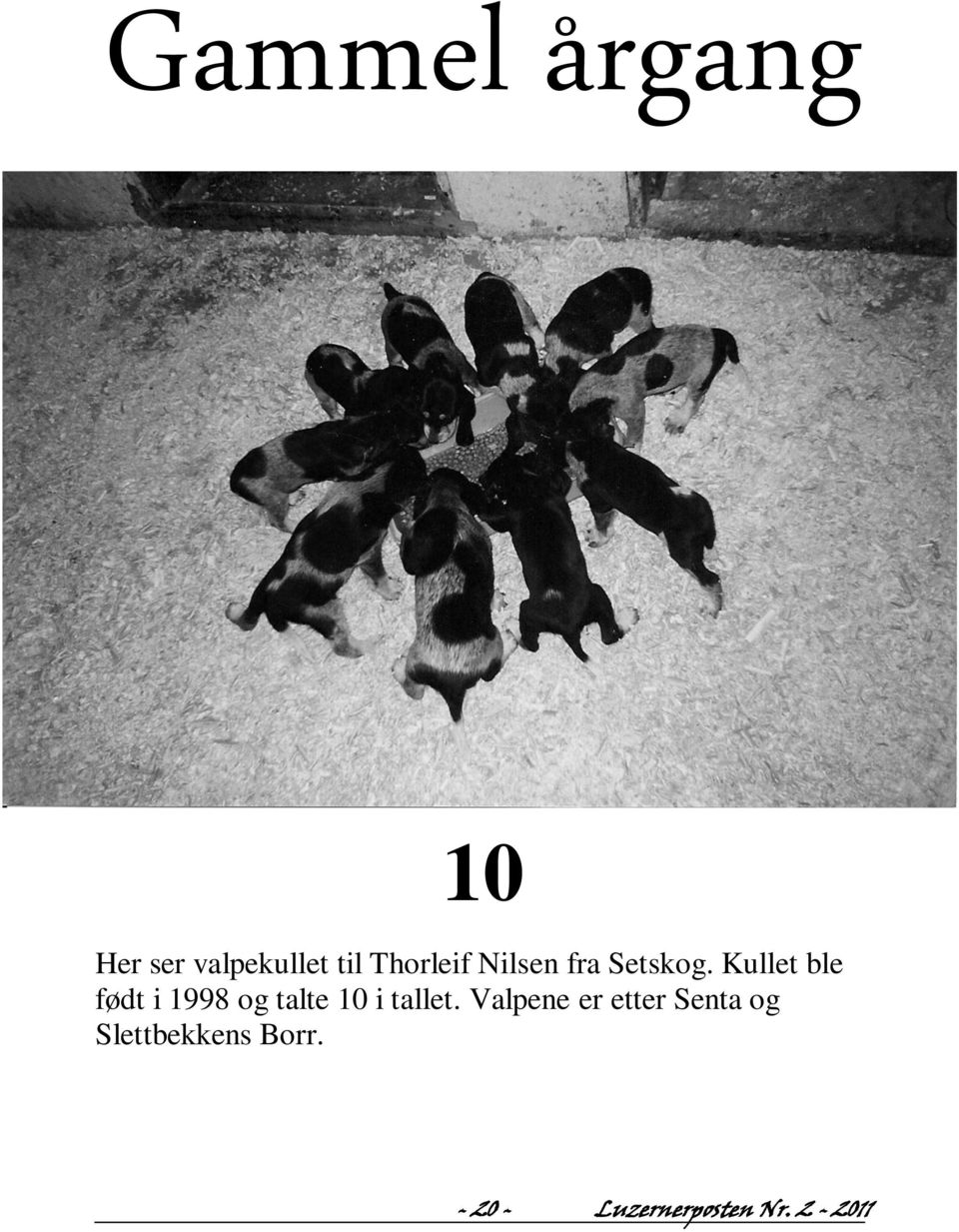 Kullet ble født i 1998 og talte 10 i tallet.