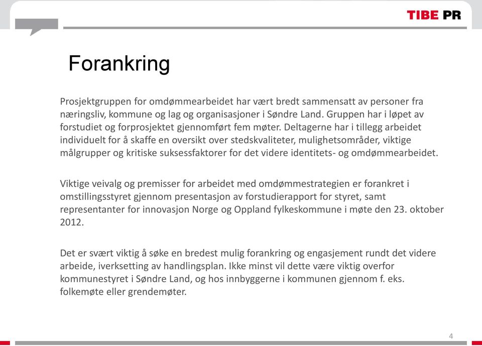 Deltagerne har i tillegg arbeidet individuelt for å skaffe en oversikt over stedskvaliteter, mulighetsområder, viktige målgrupper og kritiske suksessfaktorer for det videre identitets- og