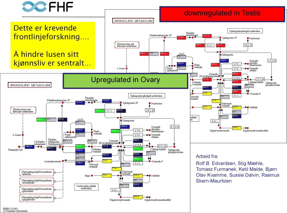 Arbeid fra: Rolf B.